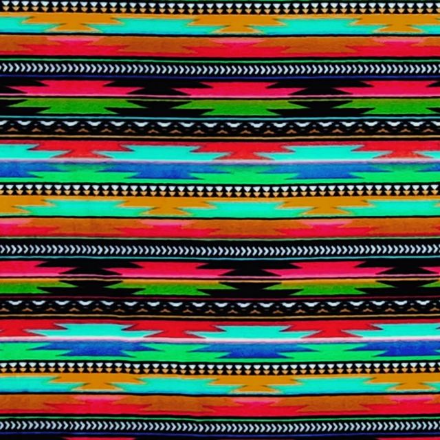 Baja Southwest Native American Fleece Fabric